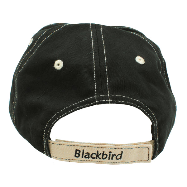 SR-71 Blackbird Embroidered Hat