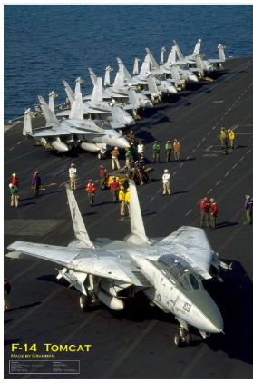 Grumman F-14 Tomcat Poster