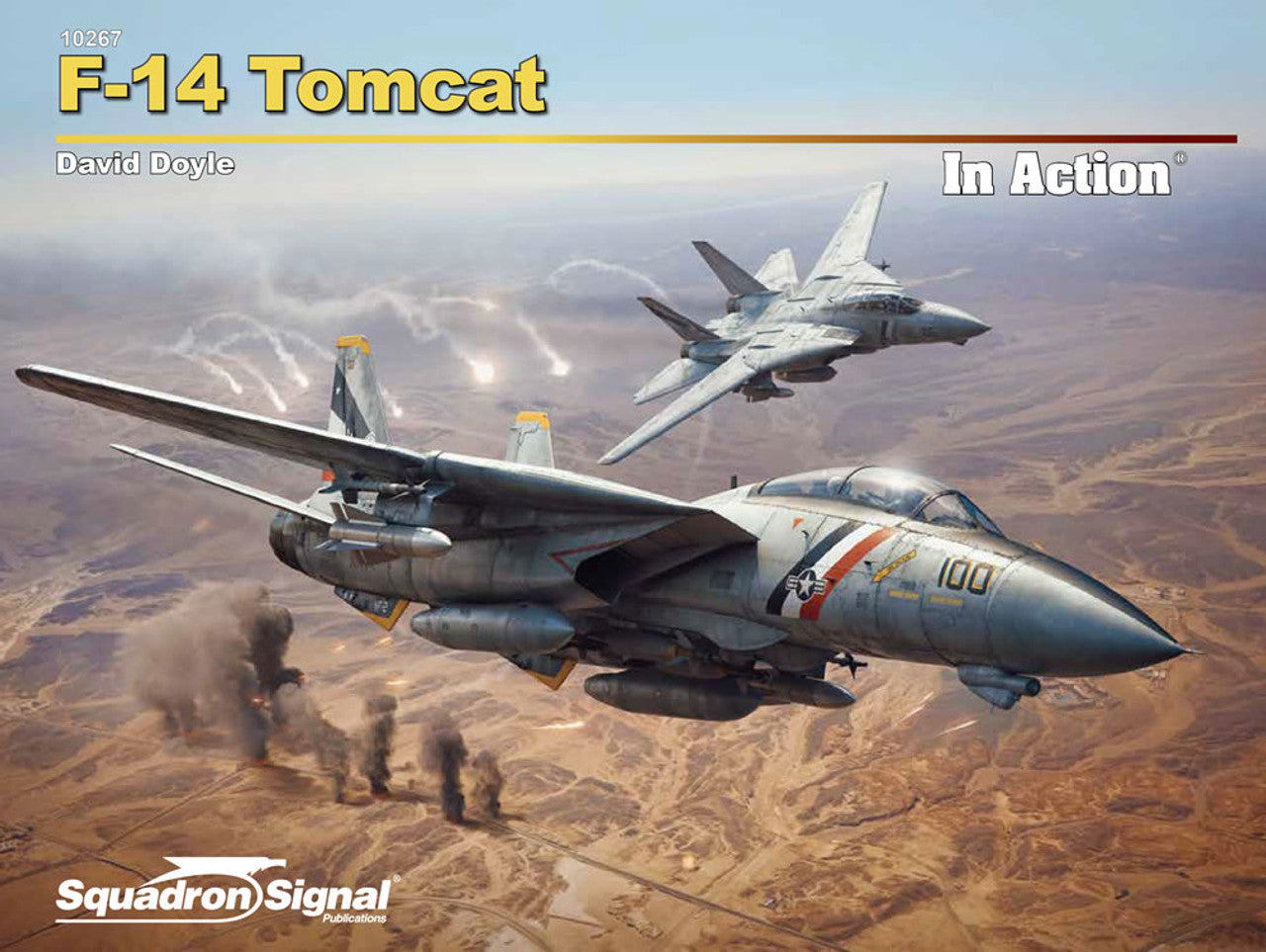 f-14 tomcat airplane book, front cover