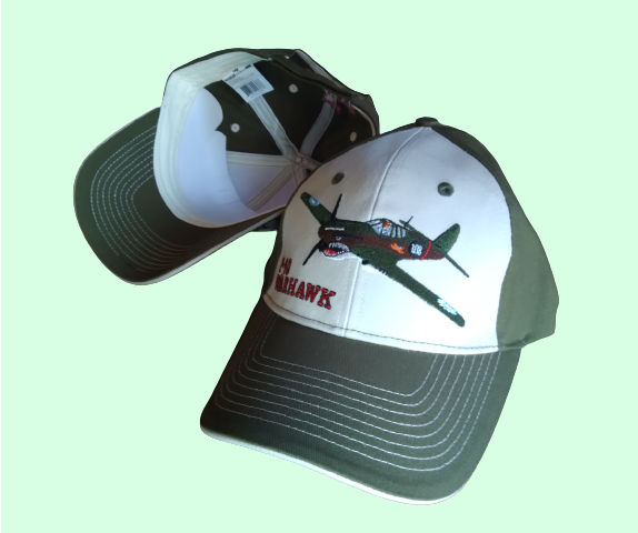 High Quality Embroidered P-40 Warhawk Hat