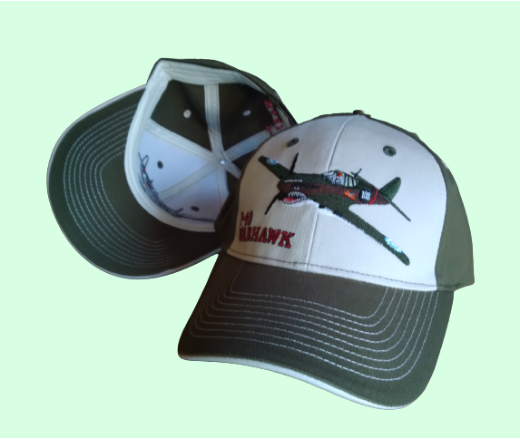 High Quality Embroidered P-40 Warhawk Hat
